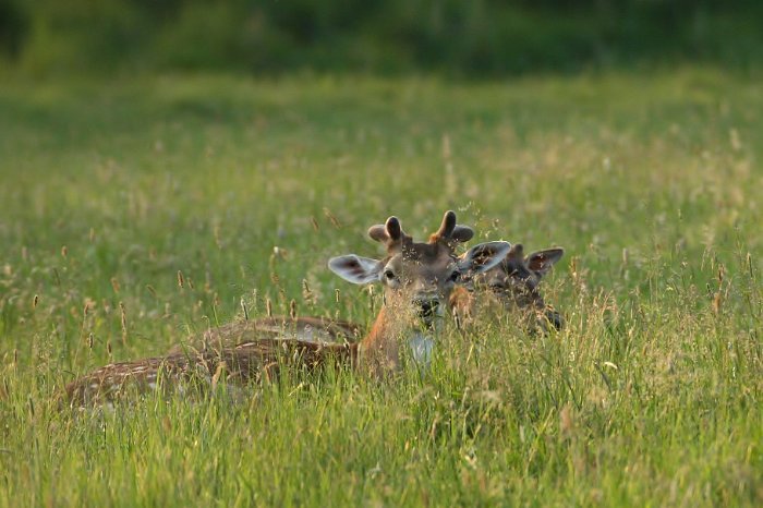 Pro milovníky přírody